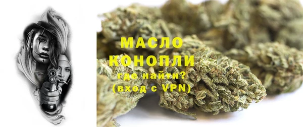 молекула духа Краснослободск