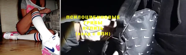 молекула духа Краснослободск