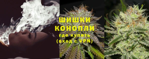 молекула духа Краснослободск