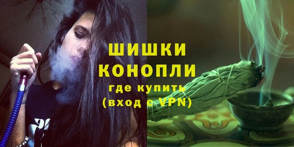 молекула духа Краснослободск